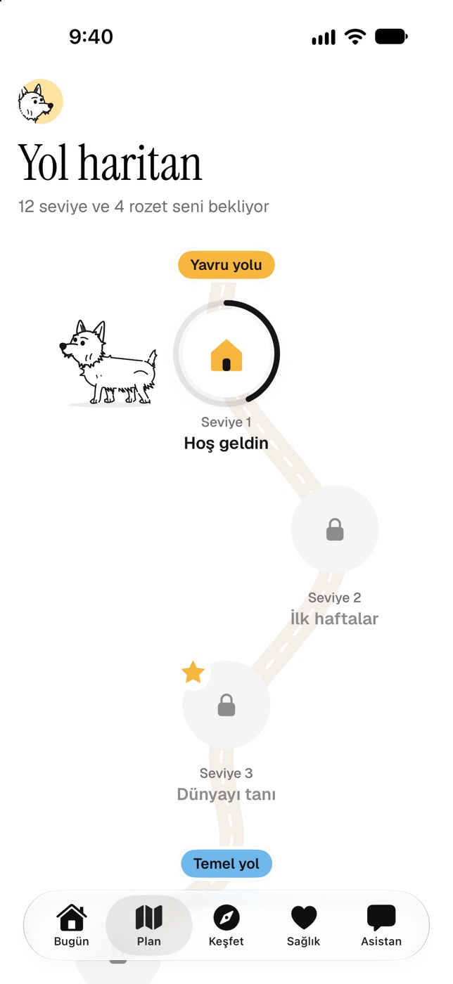 Yol haritası