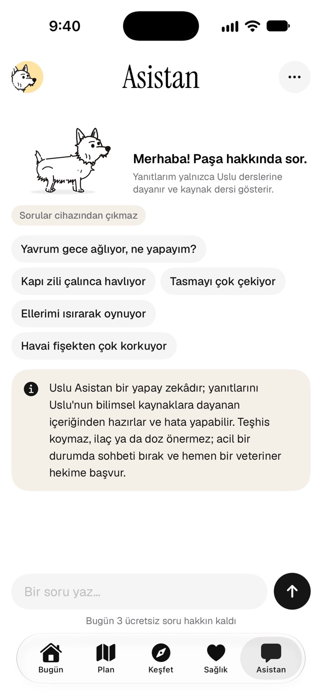 Asistan ekranı